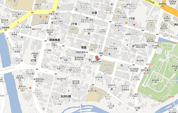 銀座カラ−盛岡菜園町地図